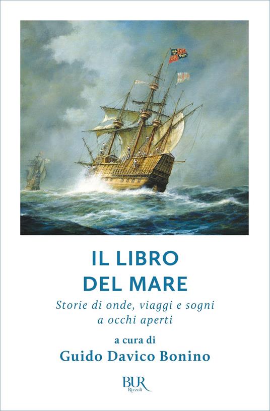 Il libro del mare. Storie di onde, viaggi e sogni a occhi aperti - Guido Davico Bonino - ebook