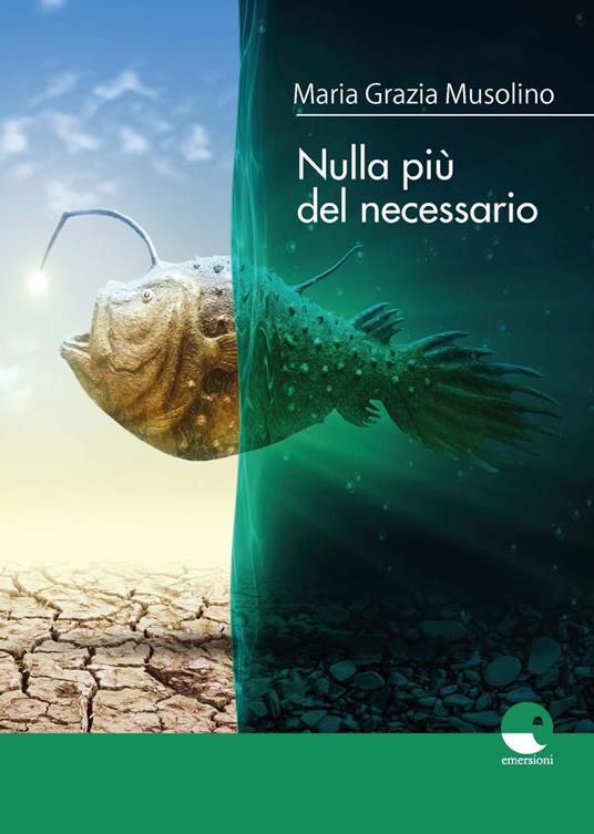 Nulla più del necessario - Maria Grazia Musolino - copertina