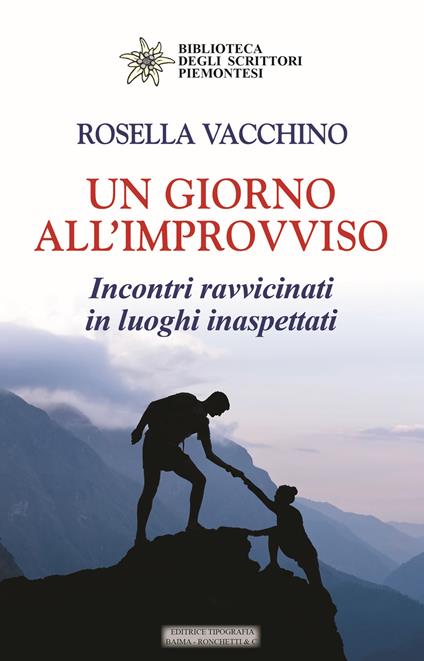 Un giorno all'improvviso. Incontri ravvicinati in luoghi inaspettati - Rosella Vacchino - copertina