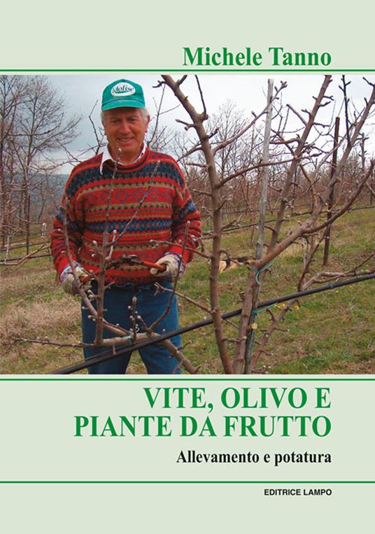 Vite, olivo e piante da frutto. Allevamento e potatura - Michele Tanno - copertina