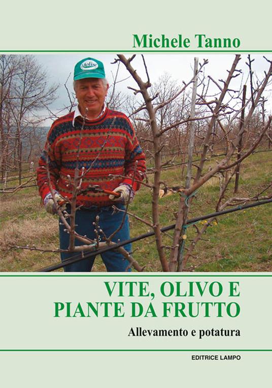 Vite, olivo e piante da frutto. Allevamento e potatura - Michele Tanno - copertina