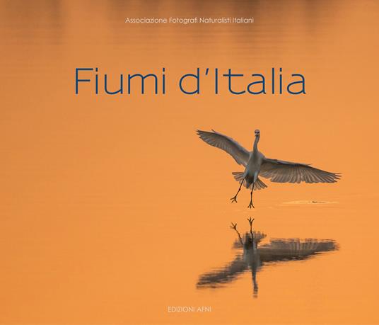 Fiumi d'Italia. Ediz. illustrata - copertina