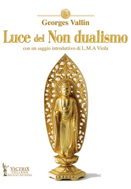 Luce del Non dualismo - Georges Vallin - copertina
