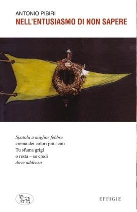 Nell'entusiasmo di non sapere - Antonio Pibiri - copertina