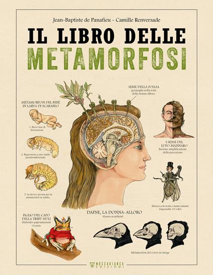 Il libro delle metamorfosi - De Panafieu Jean-Baptiste,Camille Renversade - copertina