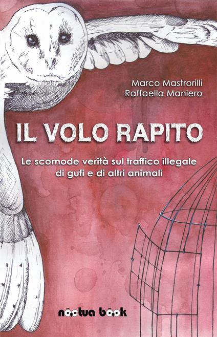 Il volo rapito. Le scomode verità sul traffico illegale di gufi e di altri animali - Marco Mastrorilli,Raffaella Maniero - copertina