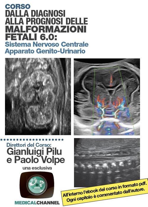 Dalla diagnosi alla prognosi delle malformazioni fetali 6.0 - Gianluigi Pilu,Paolo Volpe - copertina