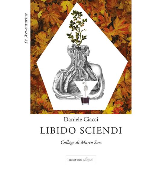 Libido sciendi - Daniele Ciacci - copertina
