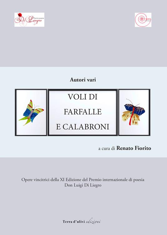 Voli di farfalle e calabroni - copertina