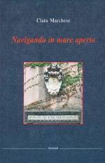 Navigando in mare aperto