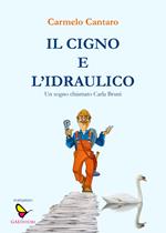 Il cigno e l'Idraulico. Un sogno chiamato Carla Bruni
