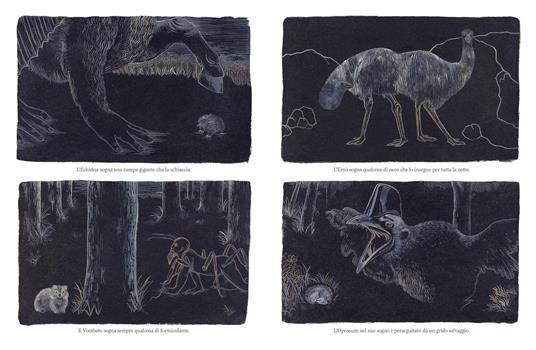 L'isola delle ombre - Davide Calì - 3