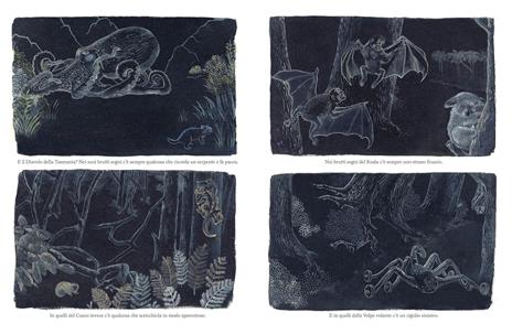 L'isola delle ombre - Davide Calì - 4