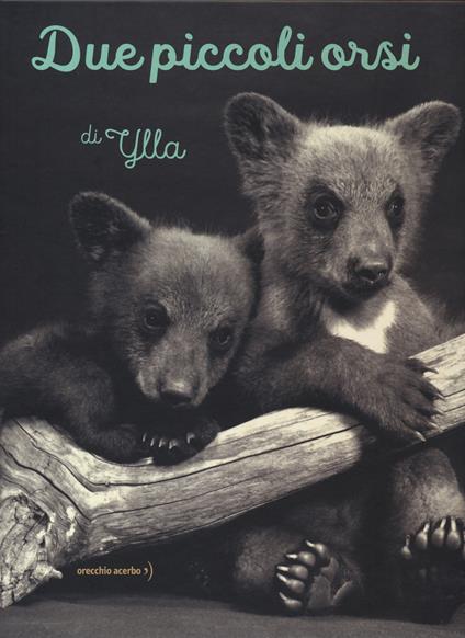 Due piccoli orsi - Ylla - copertina