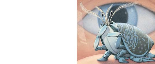 Flutti. Ediz. a colori - David Wiesner - 2