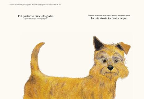 Il cane giallo - Cinzia Ghigliano - 2