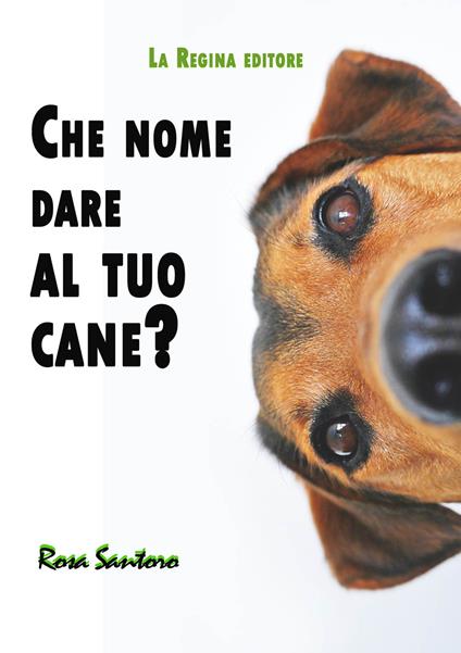 Che nome dare al tuo cane? - Rosa Santoro - copertina