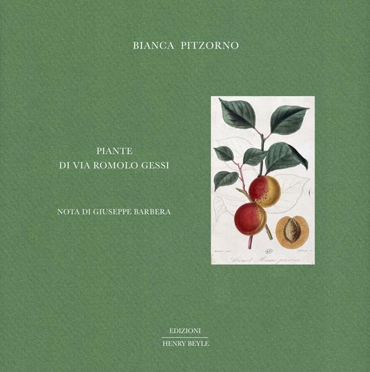 Piante di via Romolo Gessi - Bianca Pitzorno - copertina