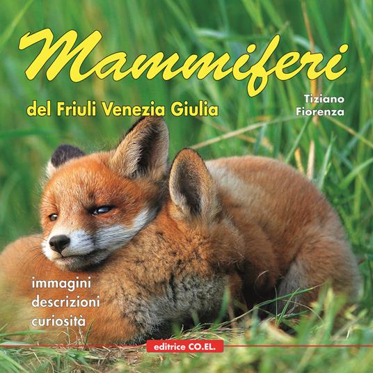 Mammiferi del Friuli Venezia Giulia. Immagini, descrizioni, curiosità - Tiziano Fiorenza - copertina