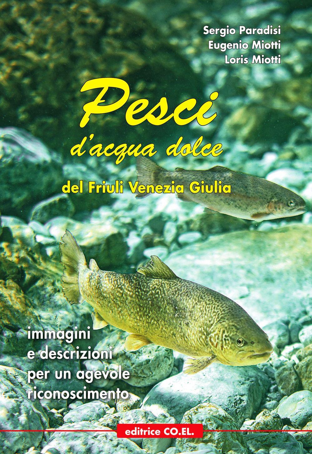 Emozioni Media Store