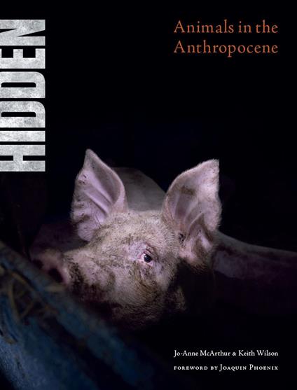 Hidden. Animals in the Anthropocene. Ediz. a colori - Jo-Anne McArthur,Keith Wilson - copertina