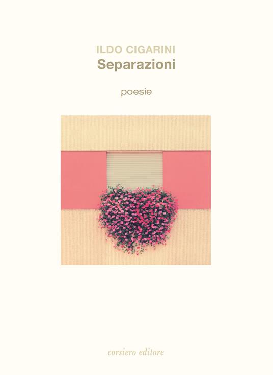 Separazioni - Ildo Cigarini - copertina
