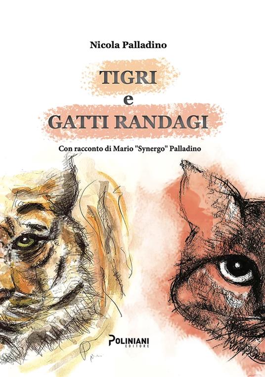 Tigri e gatti randagi - Nicola Palladino - copertina