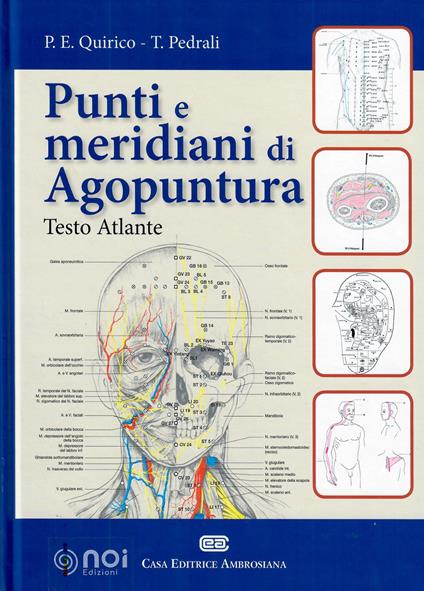 Punti e meridiani di agopuntura - Piero Ettore Quirico,Tiziana Pedrali - copertina