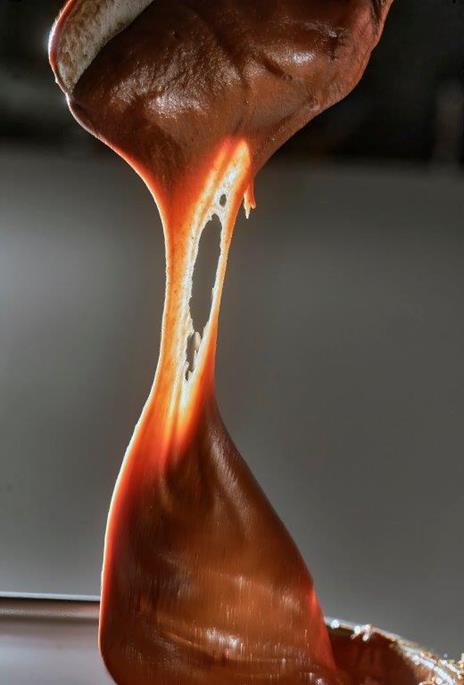 Il manuale del cioccolato. Tecnica, gestione, ricette. Guida pratica - Edouard Bechoux - 2