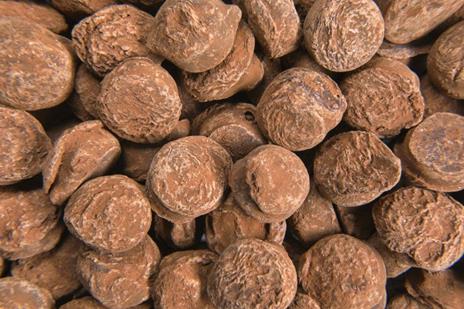 Il manuale del cioccolato. Tecnica, gestione, ricette. Guida pratica - Edouard Bechoux - 5