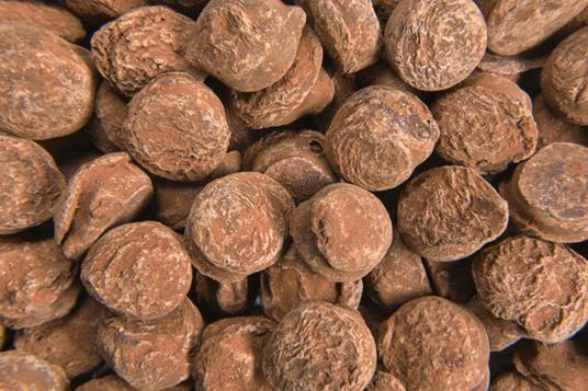 Il manuale del cioccolato. Tecnica, gestione, ricette. Guida pratica - Edouard Bechoux - 5