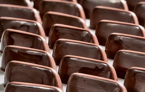 Il manuale del cioccolato. Tecnica, gestione, ricette. Guida pratica - Edouard Bechoux - 7