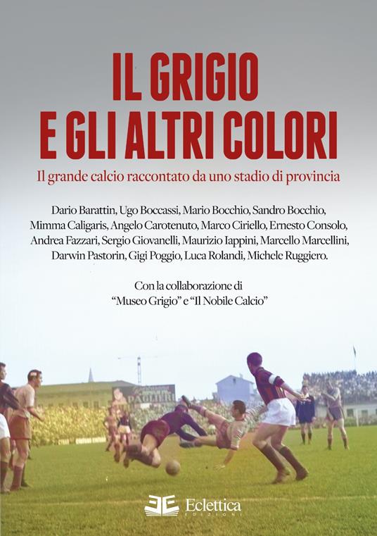 Il grigio e gli altri colori. Il grande calcio raccontato da uno stadio di provincia. Ediz. a colori - copertina