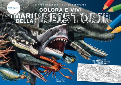 Colora e vivi i mari della preistoria - Simone Maganuco - copertina