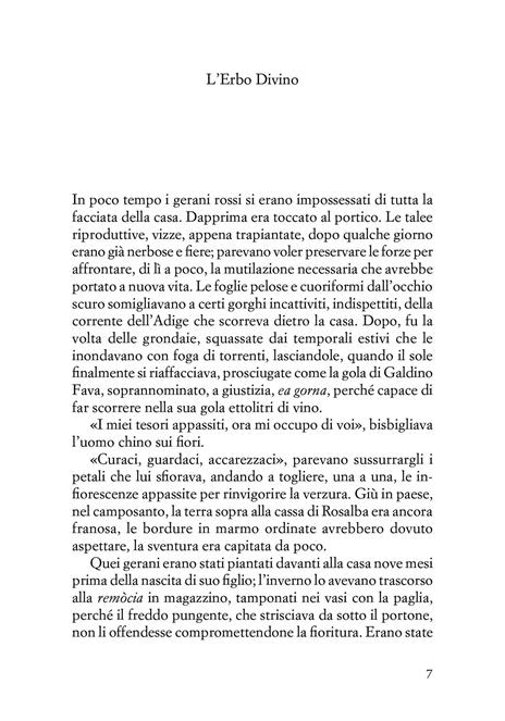 Padre terra - Barbara Buoso - 2