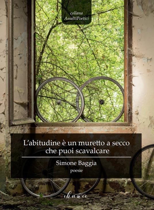 L' abitudine è un muretto a secco che puoi scavalcare - Simone Baggia - copertina