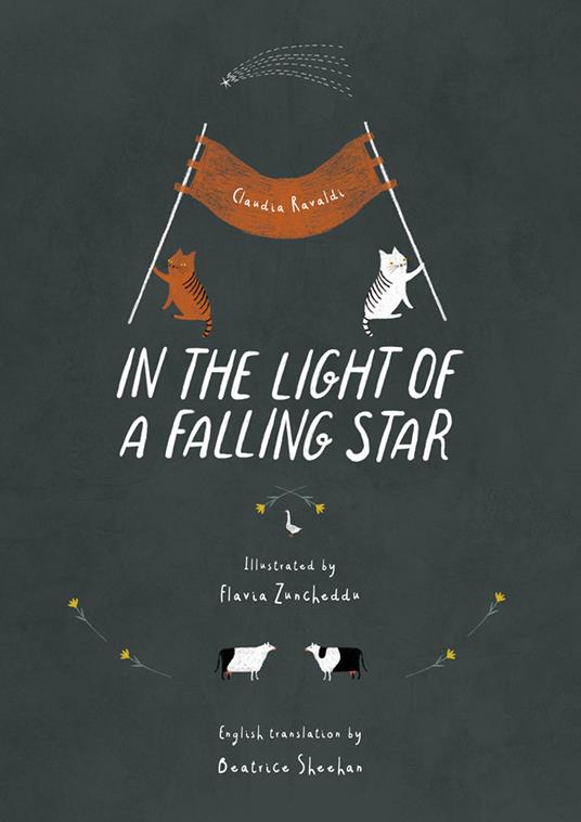 In the light of a falling star. Ediz. illustrata - Claudia Ravaldi - copertina