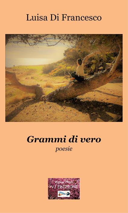 Grammi di vero - Luisa Di Francesco - copertina