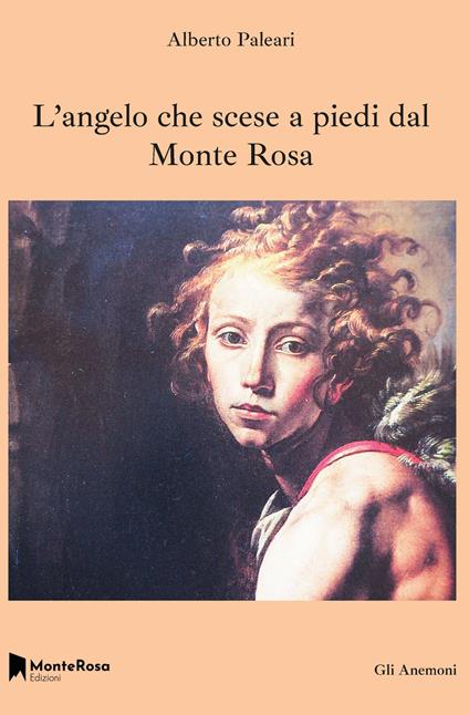 L'angelo che scese a piedi dal Monte Rosa - Alberto Paleari - copertina