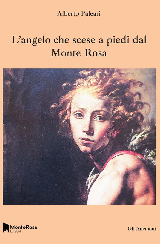 L'angelo che scese a piedi dal Monte Rosa - Alberto Paleari - copertina