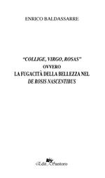 «Collige, virgo, rosas» ovvero La fugacità della bellezza nel De rosis nascentibus