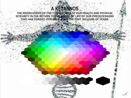 A kentannos. The rediscovery of the foundations of our health and physical integrity in the return to the model of life of our predecessors that has forged our D.N.A. over the past millions of years - Paolo Galli - copertina