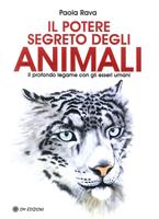 Nome prodotto
