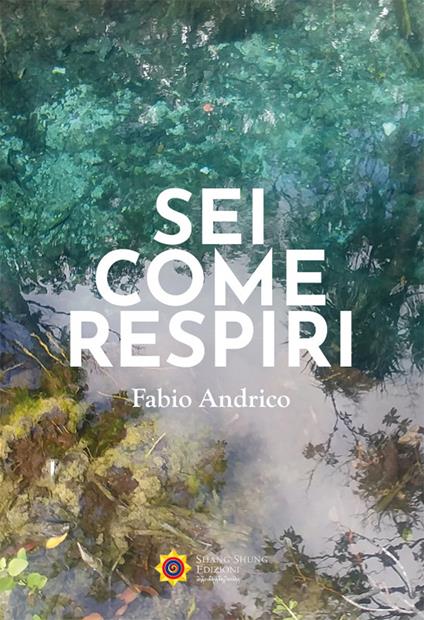 Sei come respiri - Fabio Andrico - copertina