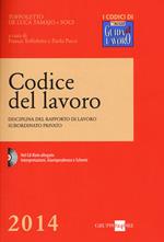 Codice del lavoro. Disciplina del rapporto di lavoro subordinato privato. Con CD-ROM