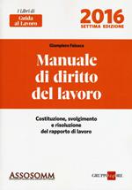 Manuale di diritto del lavoro. Costituzione, svolgimento e risoluzione del rapporto di lavoro