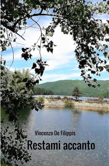 Restami accanto - Vincenzo De Filippis - copertina