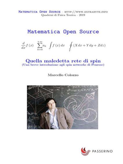 Quella maledetta rete di spin. Una breve introduzione agli spin networks di Penrose - Marcello Colozzo - ebook
