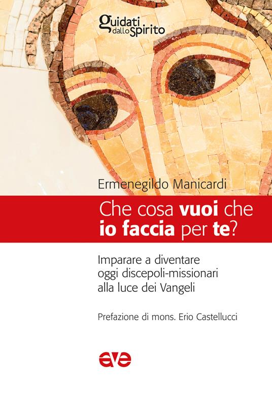 Che cosa vuoi che io faccia per te? Imparare a diventare oggi discepoli-missionari alla luce dei Vangeli - Ermenegildo Manicardi - copertina