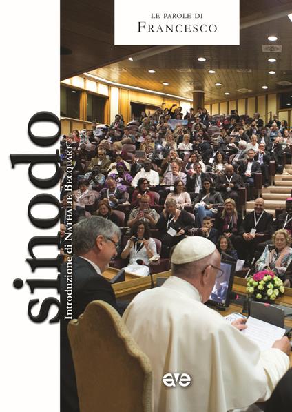 Sinodo - Francesco (Jorge Mario Bergoglio) - copertina